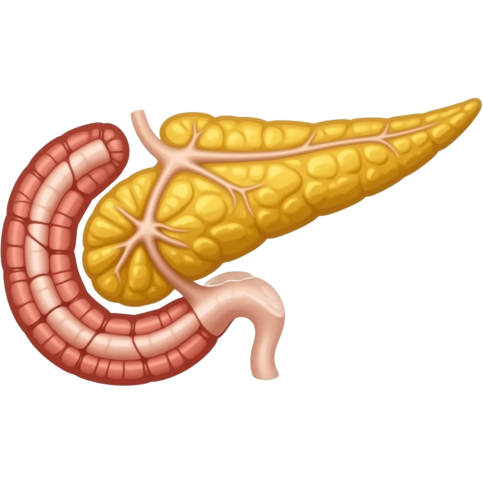 anatomical pancreas emoji