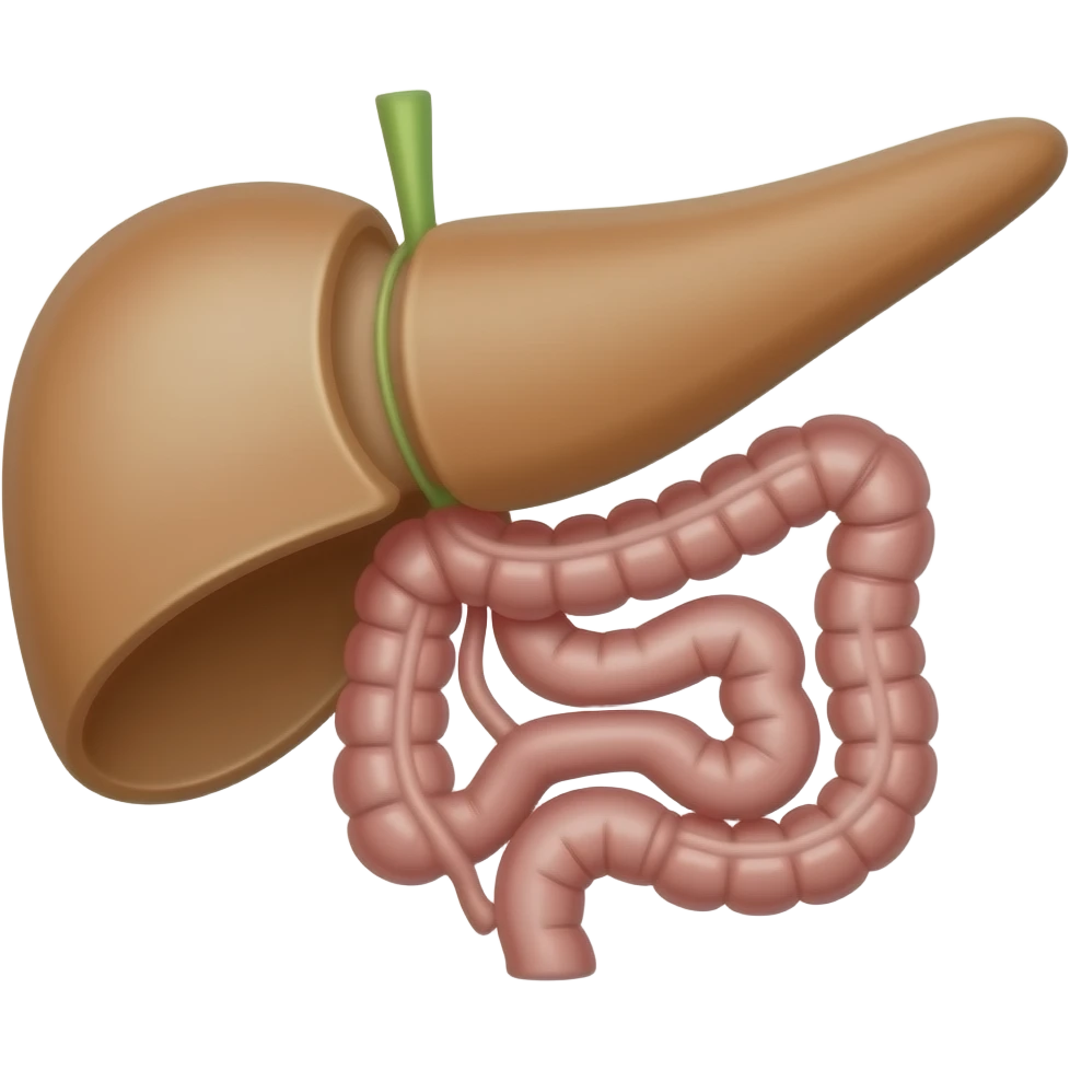 pancreas with small intestine emoji