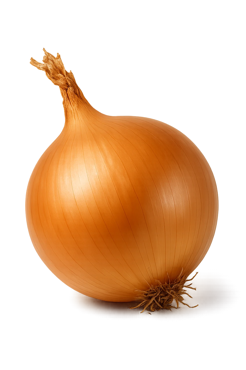 cipolla realistica, iperrealistico 4k emoji