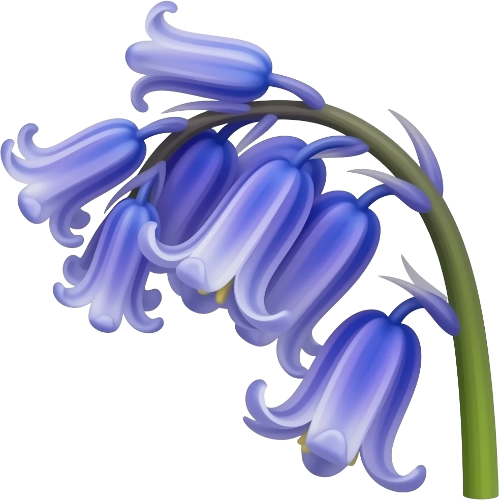 Bluebell flower emoji