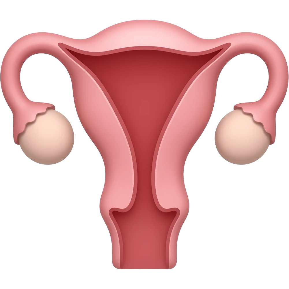 minimalist emoji representing the female menstrual cycle, stylized uterus, gynecology theme, soft pink and red tones, clean and delicate style emoji