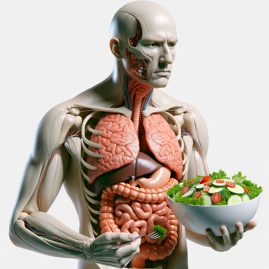 corpo umano anatomico con intestino in evidenza mentre mangia un'insalata con espressione neutra in volto, iperrealistico 4k, isolato su sfondo bianco emoji