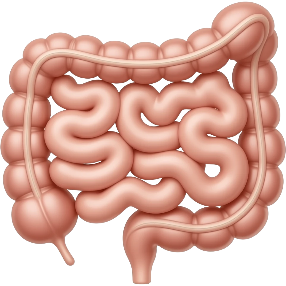 diverticulitis with anatomic image of a bowel diverticule emoji