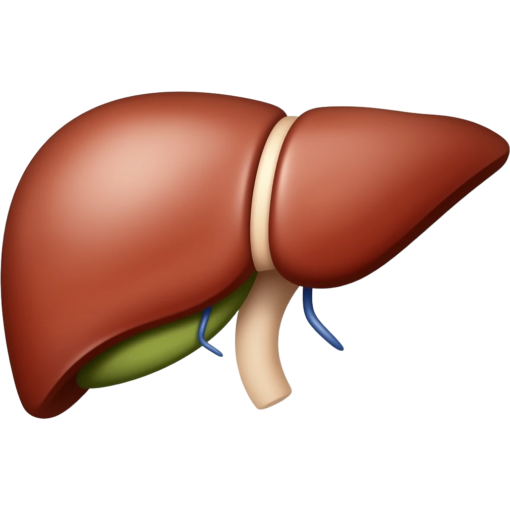 Anatomical liver emoji