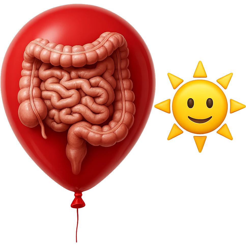 intestino umano anatomico chiuso in un palloncino rosso che simboleggia gonfiore, accanto un simbolo di sole stile emoji iphone che simboleggia "gonfiori di mattina", iperrealistico 4k emoji