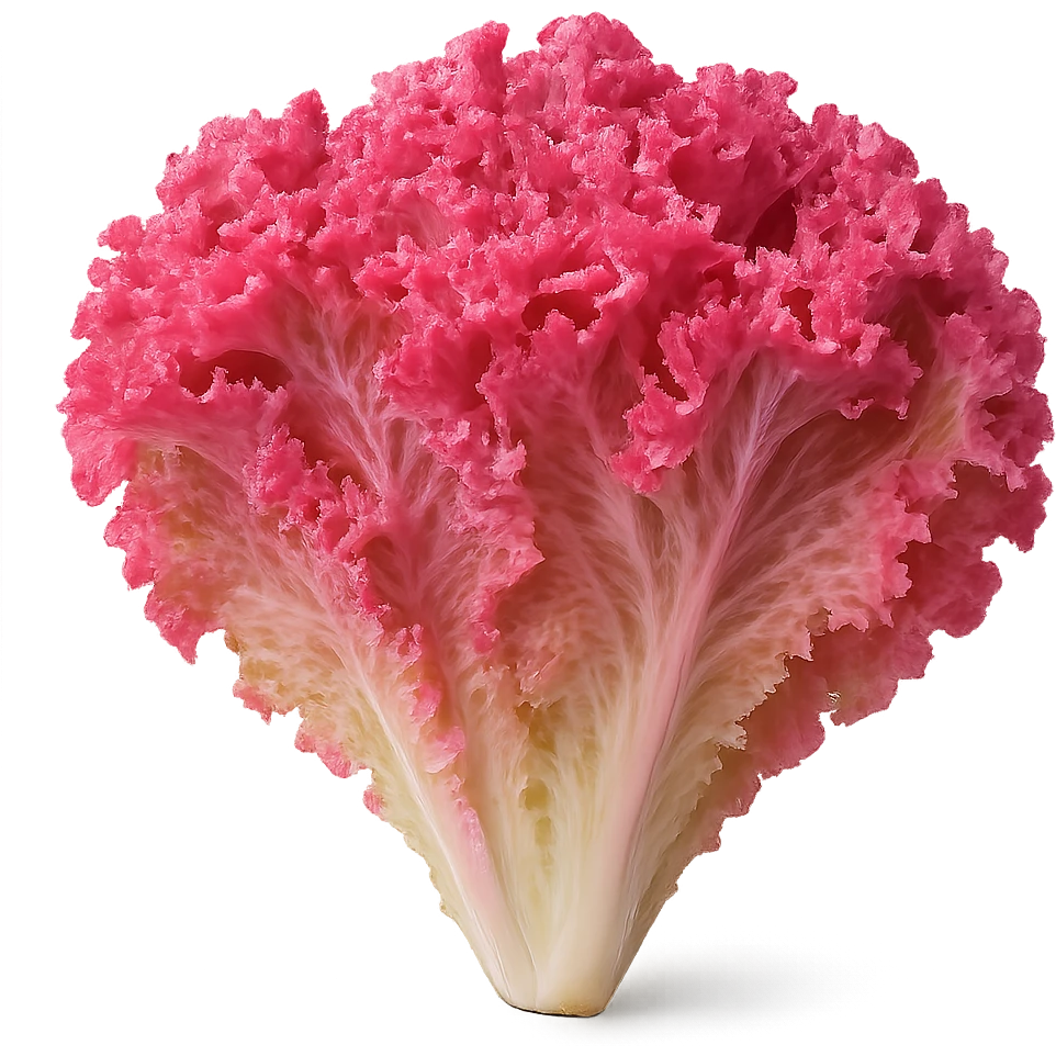pink lettuce emoji