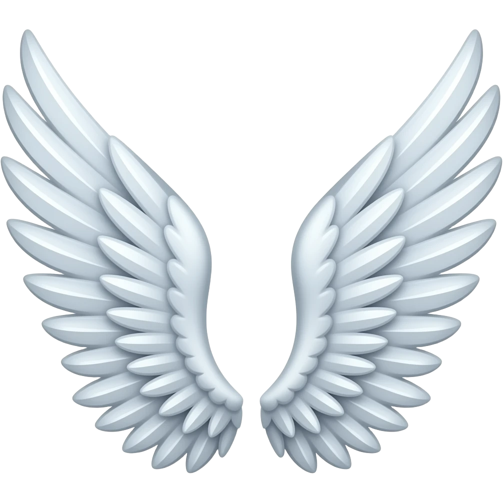 double side wings copy  paste emoji