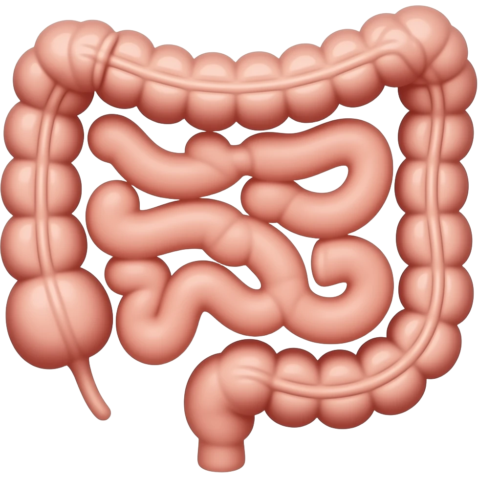 vísceras Tripas emoji