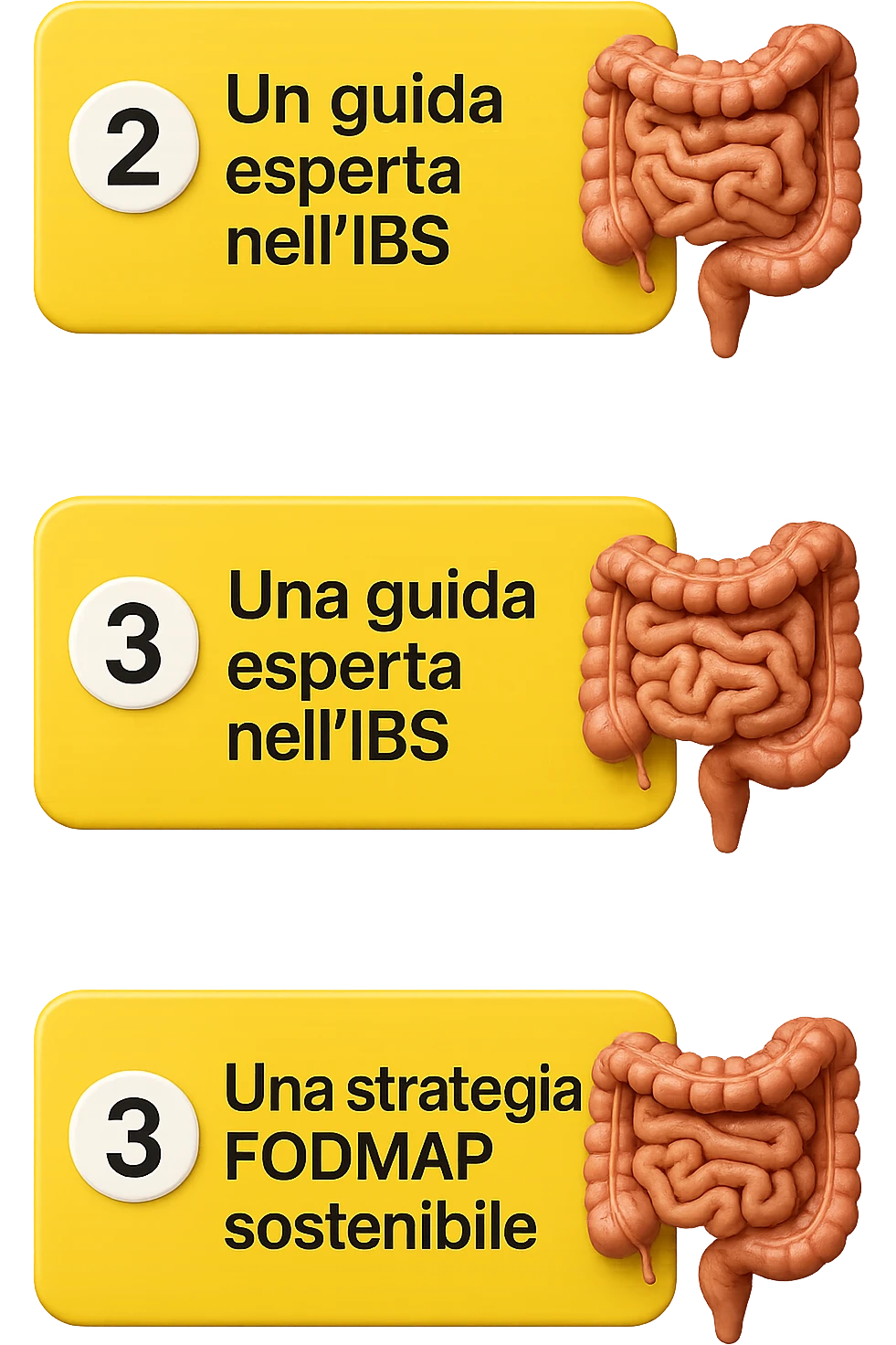 emoji stile iphone di 3 targhette numerate con intestino realistico davanti ad ogni targhetta, le targhette sono:
"1 – Un piano chiaro e strutturato
2 – Una guida esperta nell’IBS
3 – Una strategia FODMAP sostenibile"
, iperrealistico 4k emoji