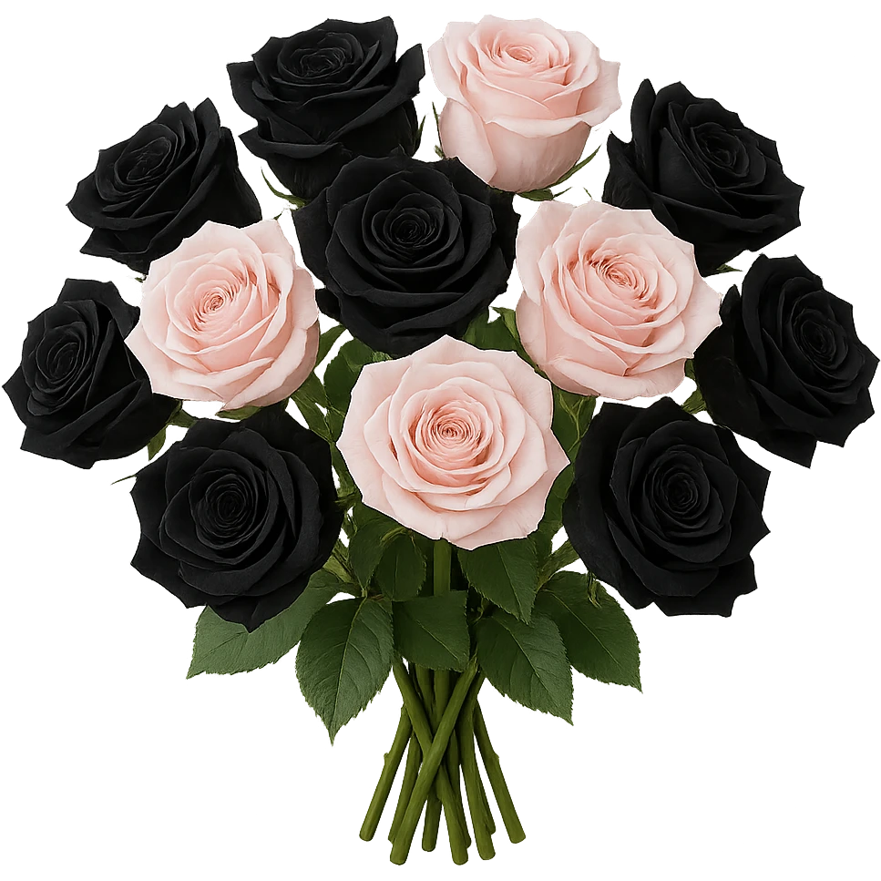 bouquet of black and pink roses , remove background emoji
