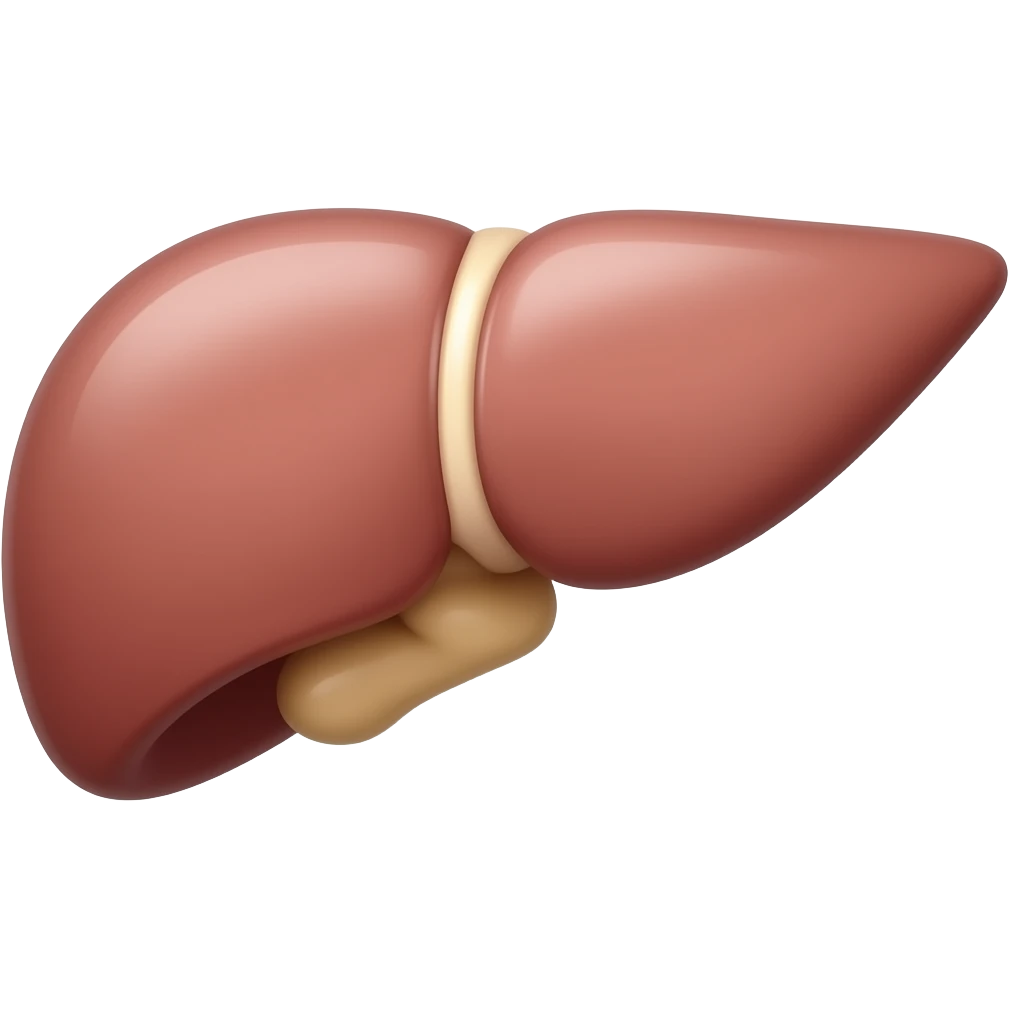Liver emoji