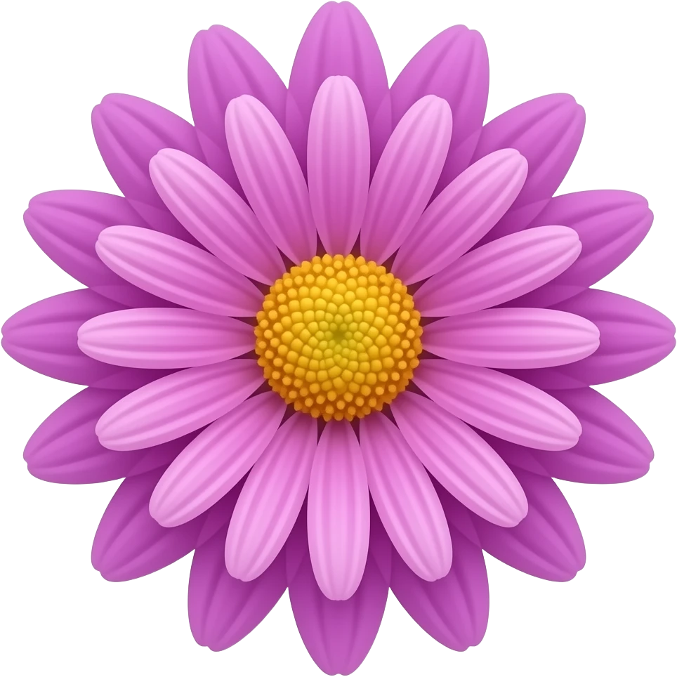 chrysanthemum flower pink and purple emoji