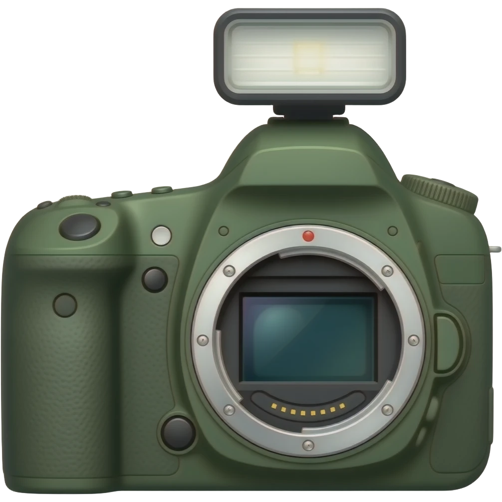 camera with flash with dark olive green emoji
