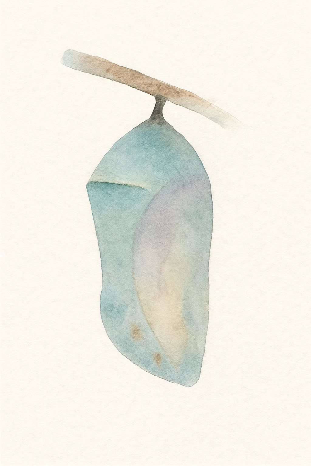a butterfly cocoon, watercolor illustration, soft colors, delicate brush strokes emoji