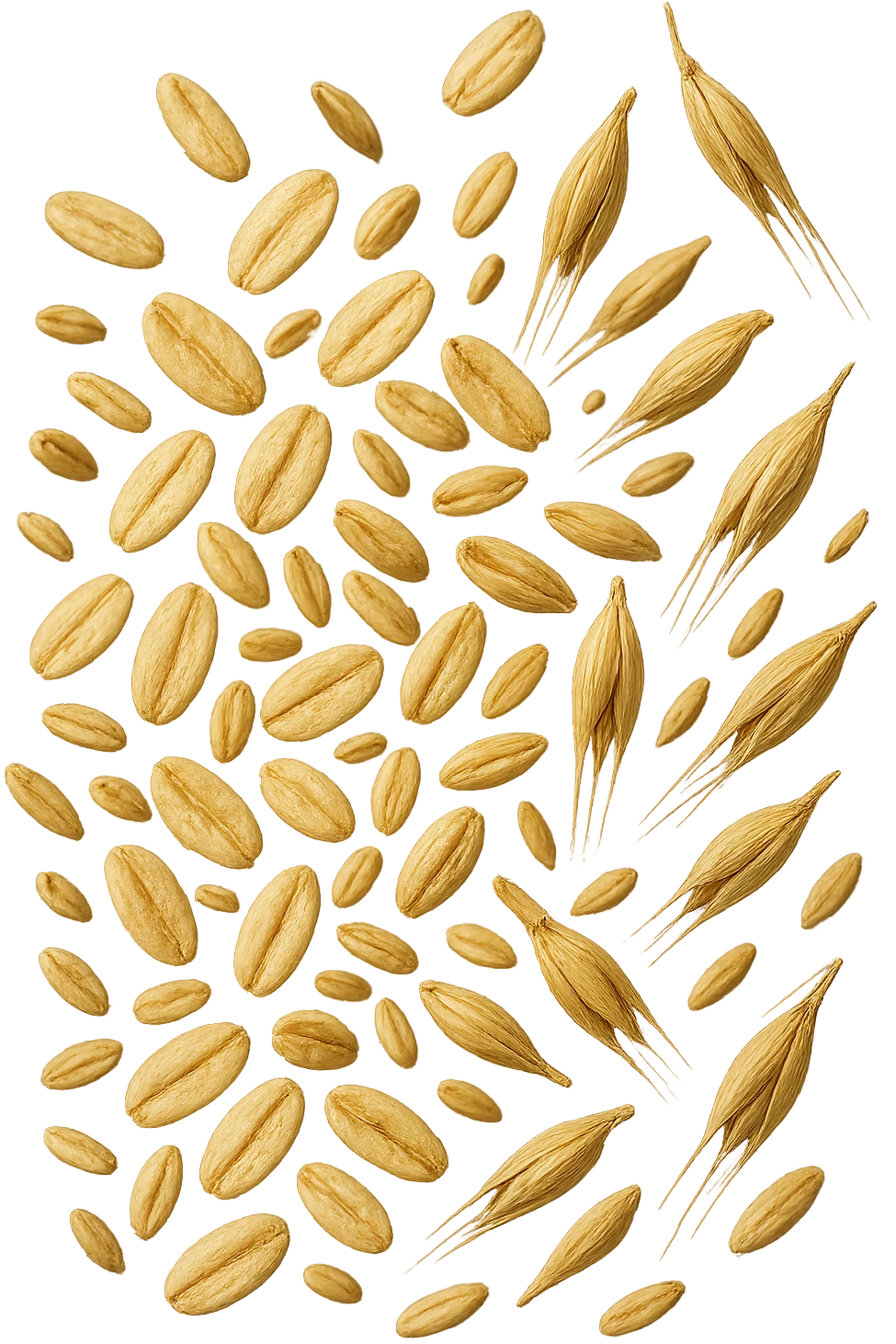 Avena e orzo FLUTTUANO IN ARIA, iperrealistico 4k emoji