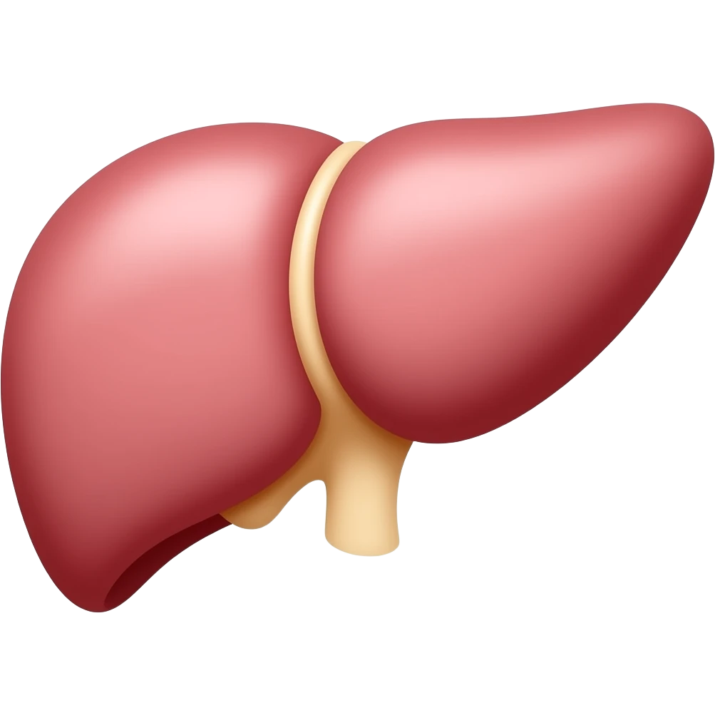 create just the Spleen isolate from the human body emoji