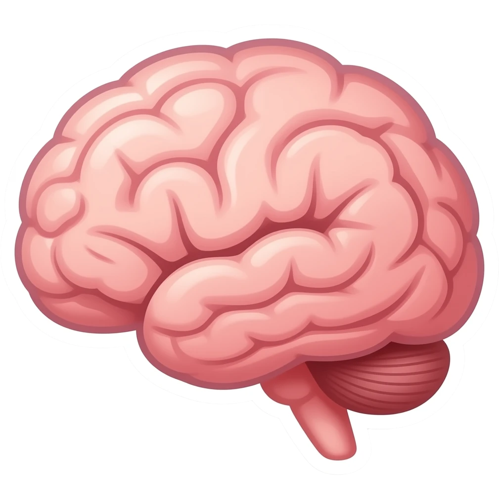 Мозг, мультяшный 2д нарисованный стиль, мягкие цвета, стикер emoji