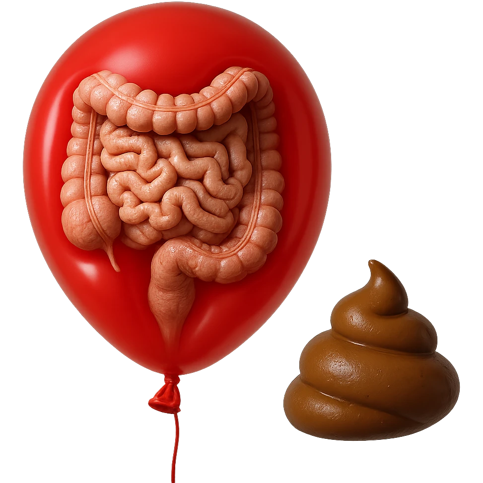 intestino umano anatomico chiuso in un palloncino rosso che simboleggia gonfiore, accanto un simbolo di cacca che simboleggia "diarrea", iperrealistico 4k emoji