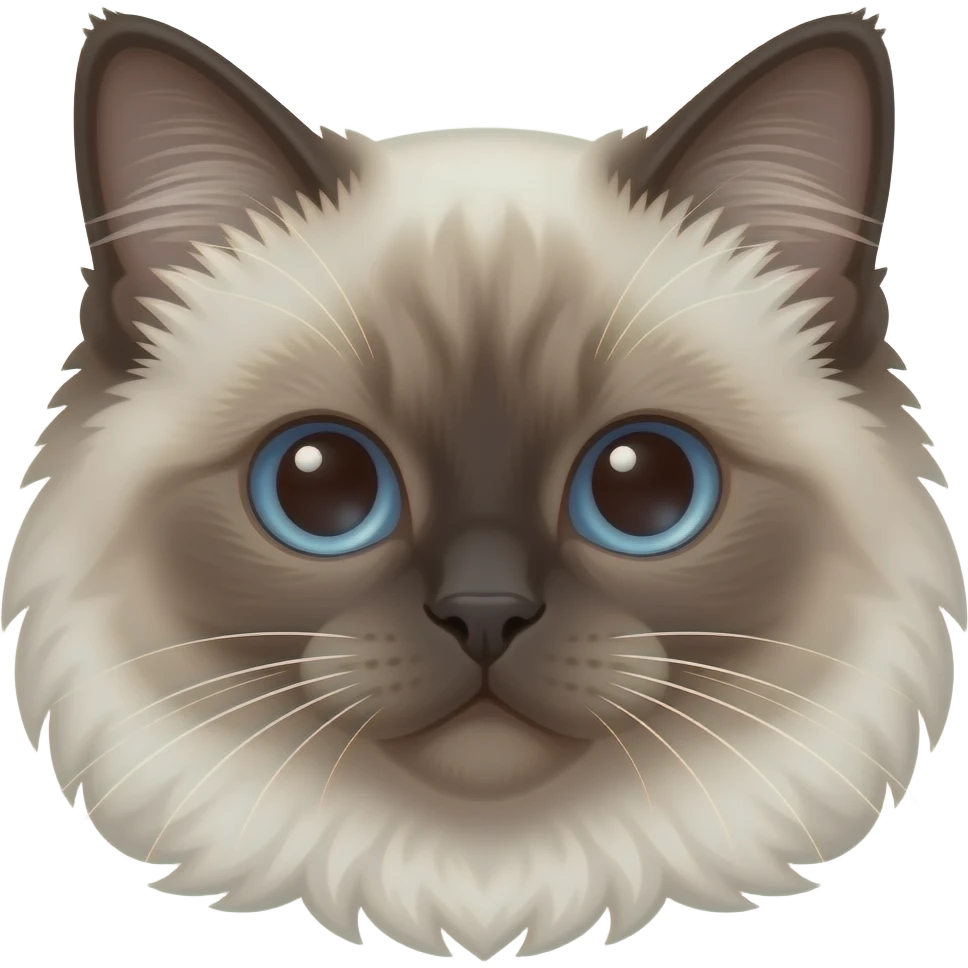 Make a Memoji of this ragdoll cat, just of its head emoji