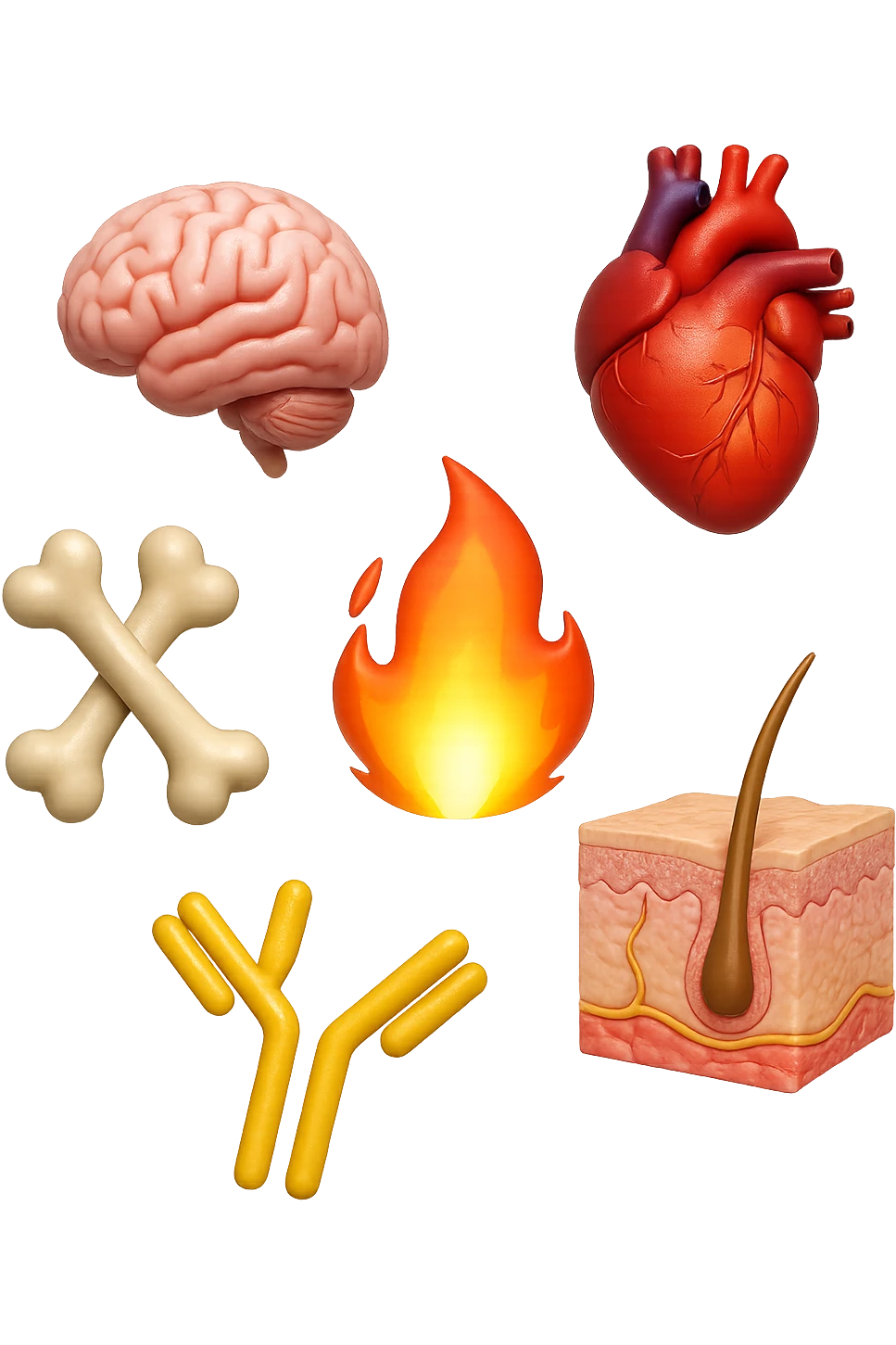 EMOJI STILE IPHONE 3D DI cervello, ossa, cuore, porzione di epidermide e cellule di anticorpi che girano in tondo, al centro di questi elementi c'è una fiamma 3d  FALLO MOLTO REALISTICO IN 3D emoji
