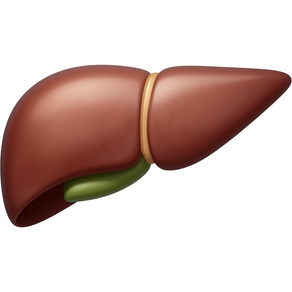 liver emoji