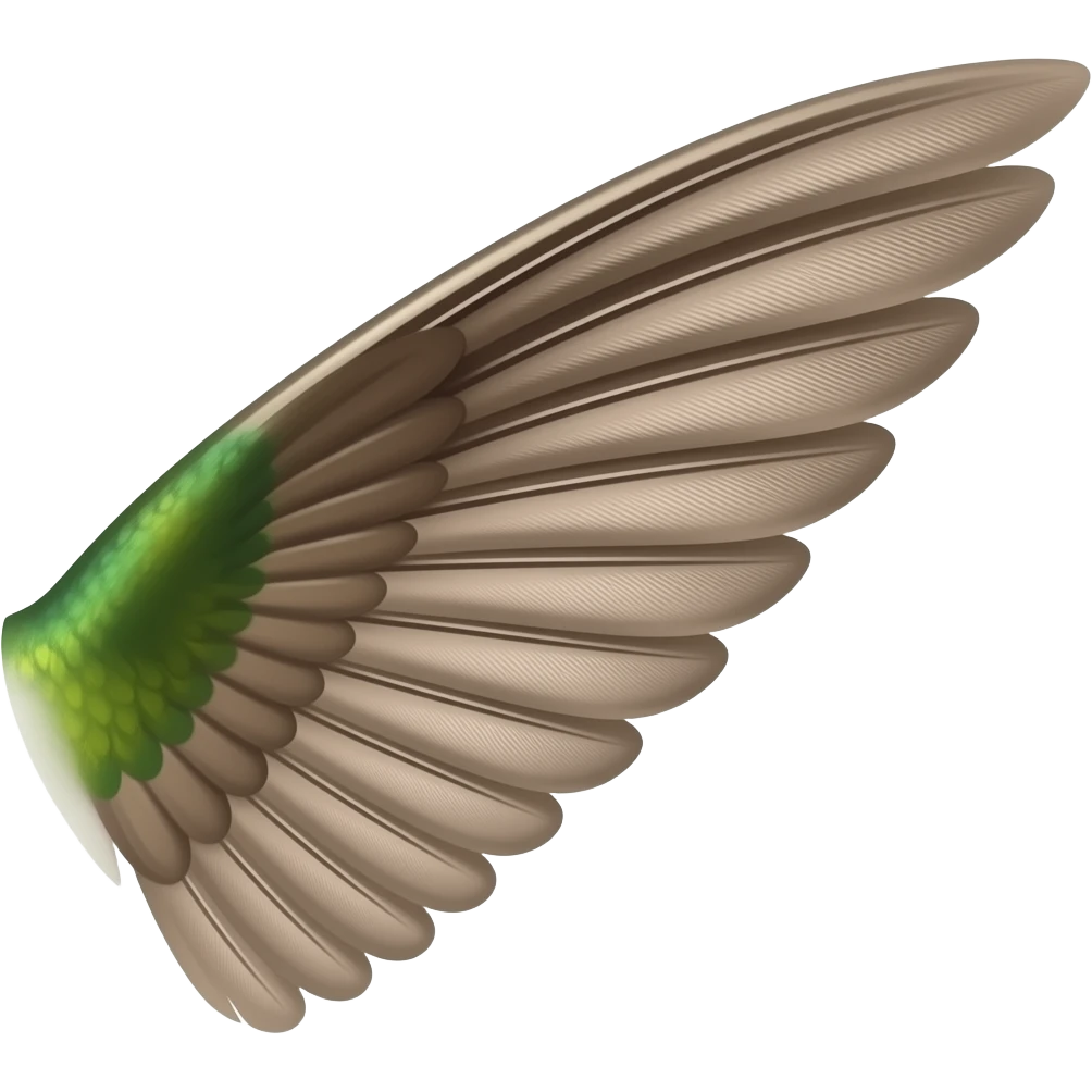 Wing left side emoji