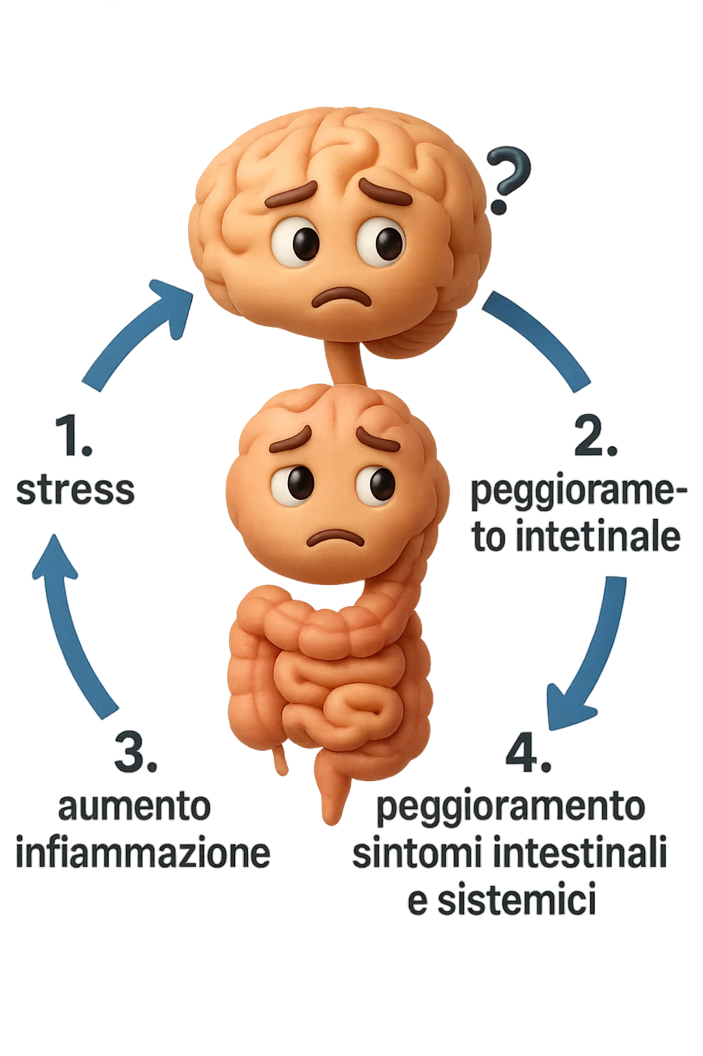 EMOJI STILE IPHONE 3D DI un cerchio con queste scritte che girano intorno in ordine per come li ho scritti "1. stress → 2. peggioramento intestinale → 3. aumento infiammazione → 4. peggioramento sintomi intestinali e sistemici." al centro del cerchio metti un cervello e intestino umani collegati verticalmente con espressione dubbiosa in volto, FALLO MOLTO REALISTICO IN 3D emoji