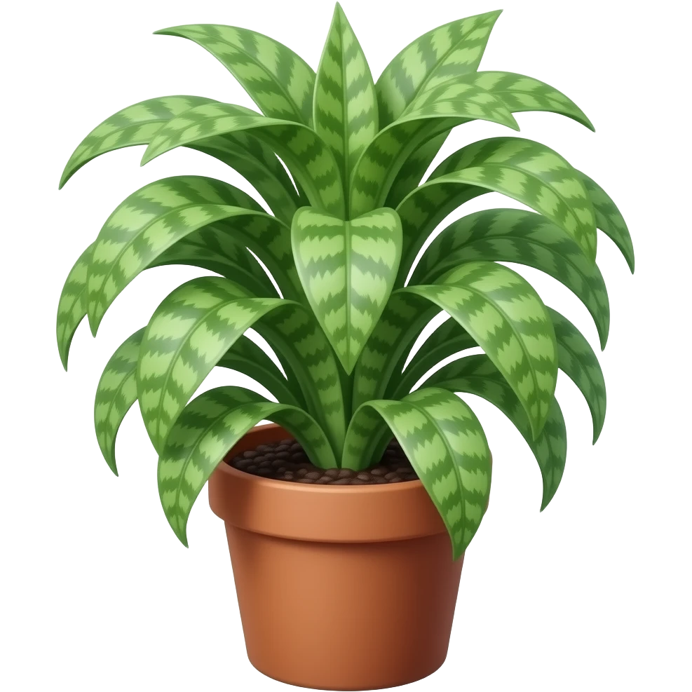 Neomarica gracilis on a pot emoji