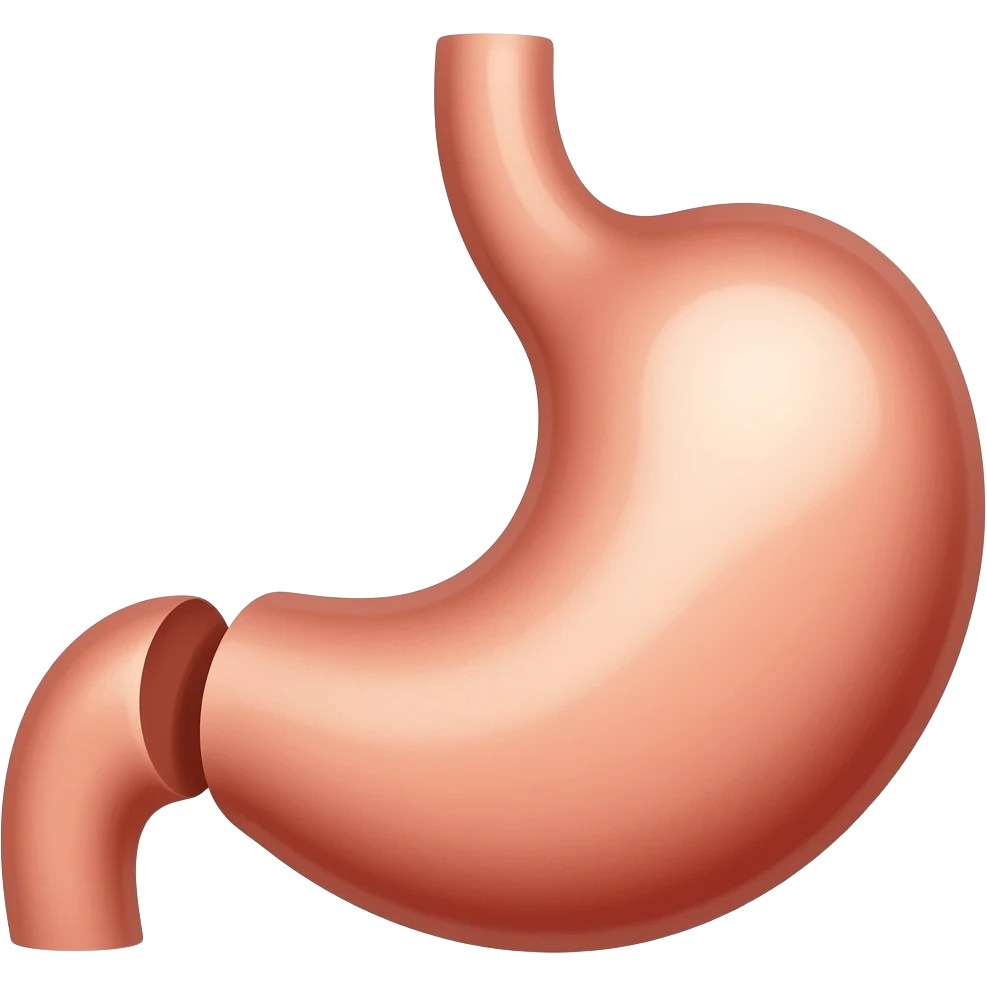 Two stomachs connected emoji