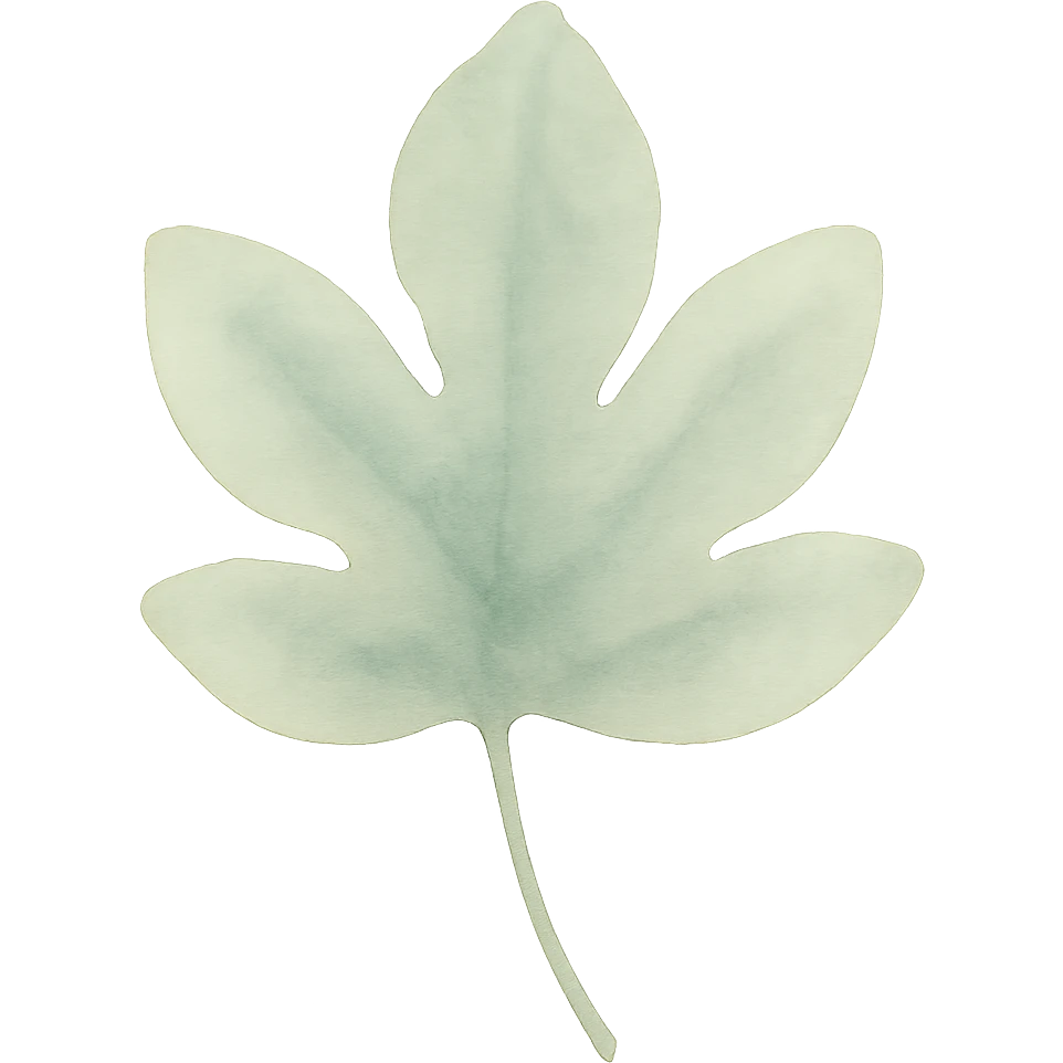 watercolor illustration of a leaf, soft green tones, gentle gradients emoji