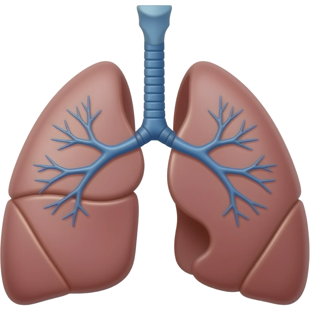 realistic lungs emoji