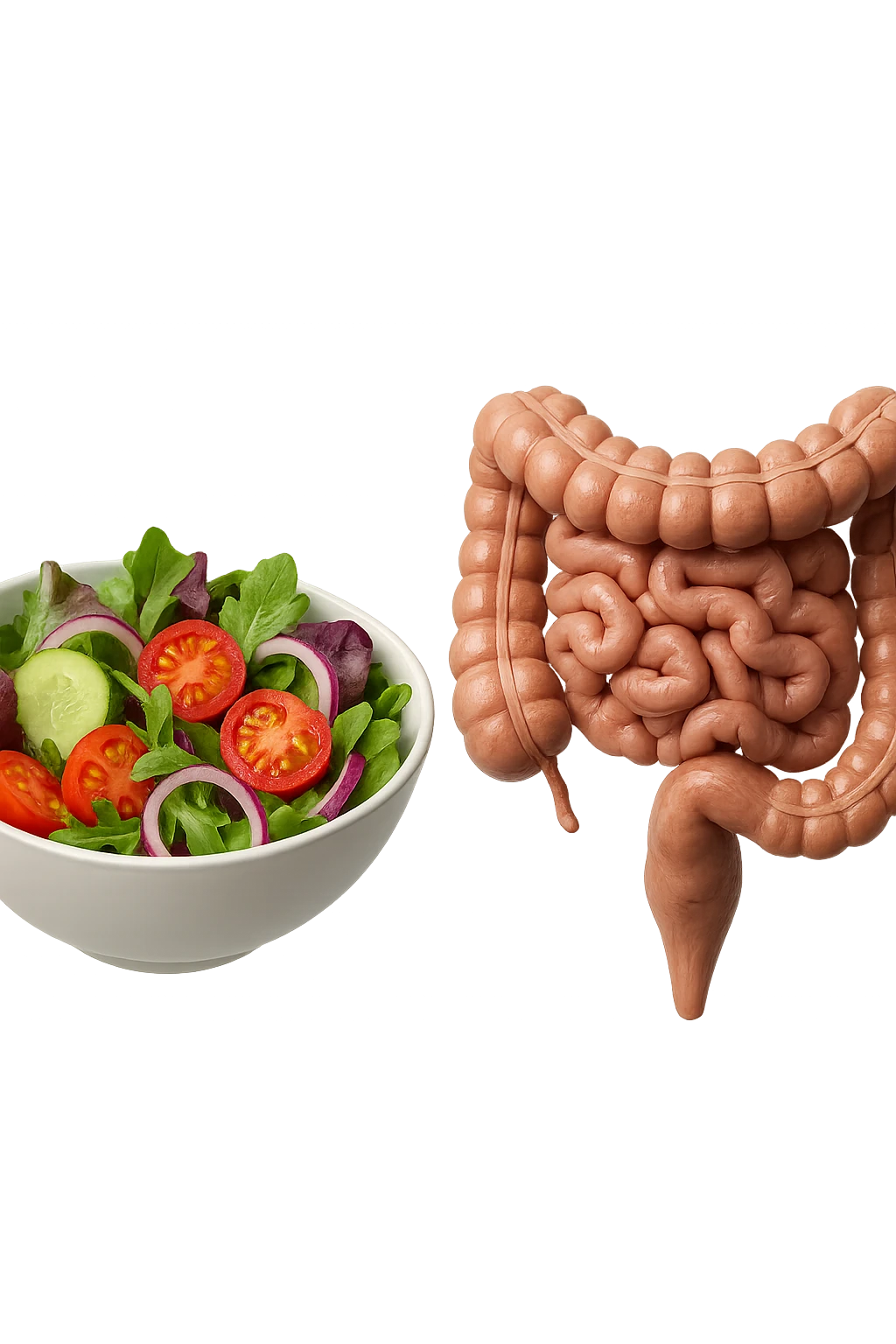 bowl di insalata fluttua in aria insieme ad intestino umano anatomico realistico, IPERREALISTICO 4K emoji