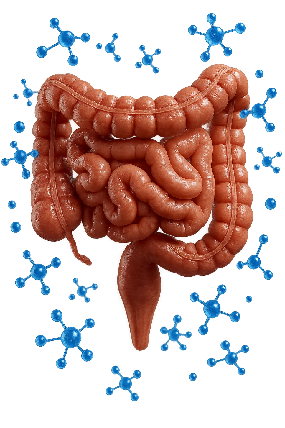 INTESTINO UMANO ANATOMICO CON MOLECOLE CHIMICHE BLU IN 3D CHE GLI FLUTTUANO INTORNO, IPERREALISTICO 4K emoji