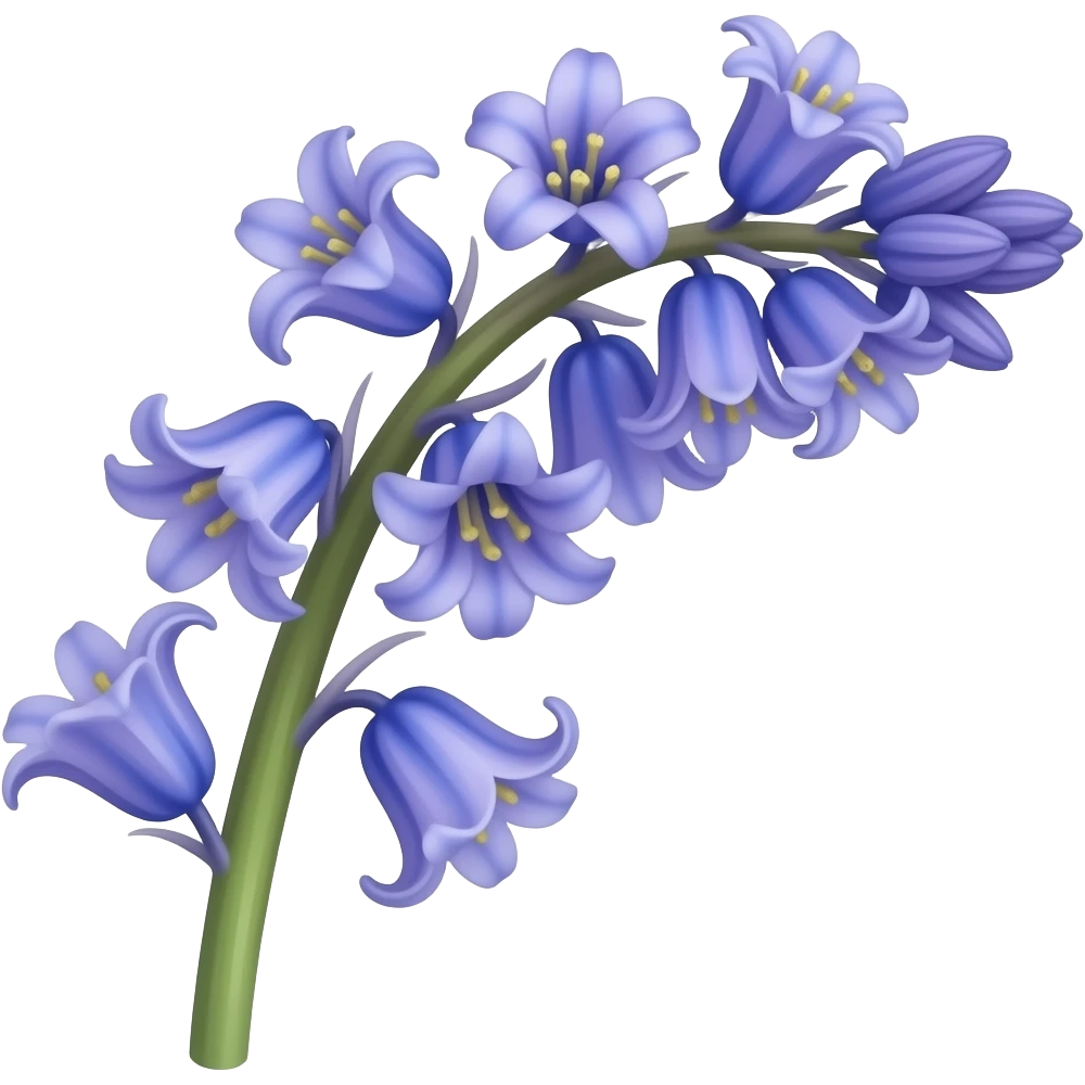 Bluebell flowers emoji