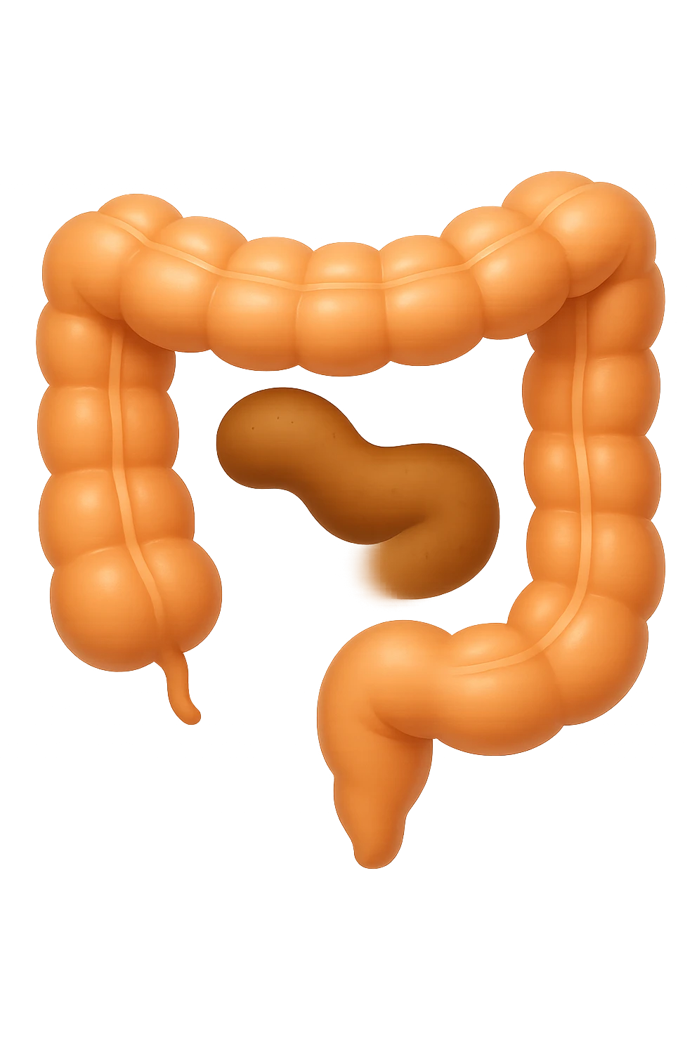 EMOJI STILE IPHONE DI UN TRATTO DI COLON INTESTINALE CHE FLUTTUA IN ARIA CON ALL'INTERNO DELLE FECI, IPERREALISTICO 4K emoji