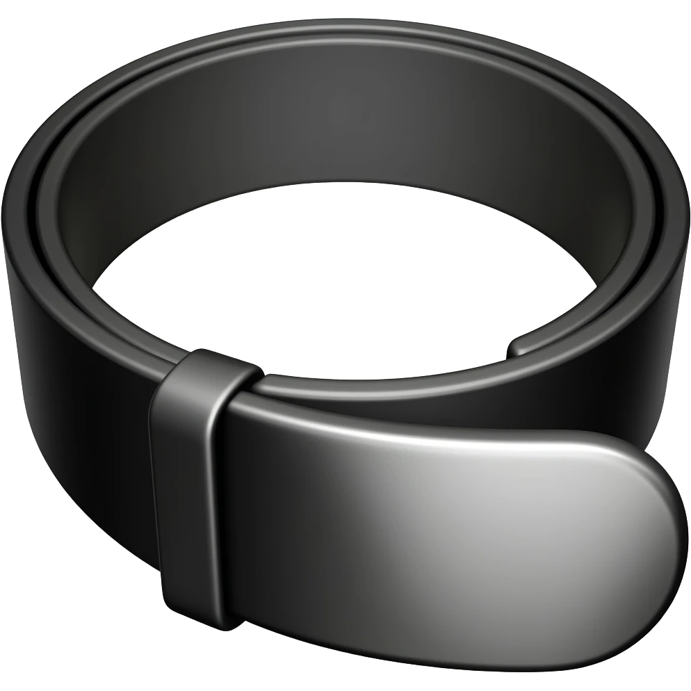 Black leather belt with metal end emoji