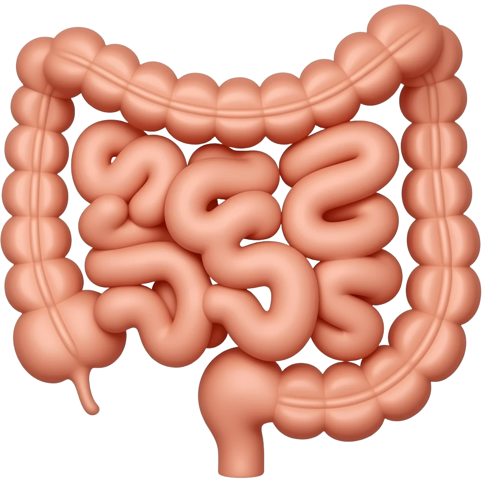 Sistema digestivo humano emoji