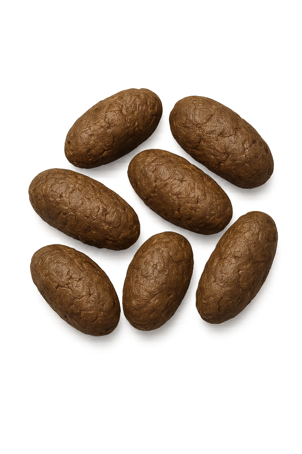 FECI DI ANIMALE A PALLINI LEGGERMENTE ALLUNGATI emoji