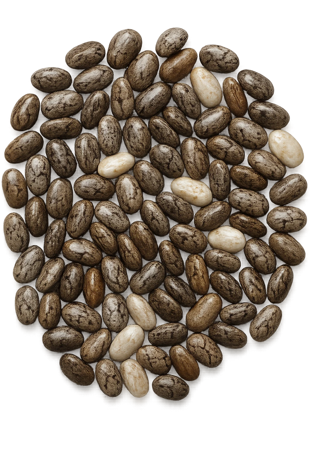 semi di chia visti dall'alto emoji