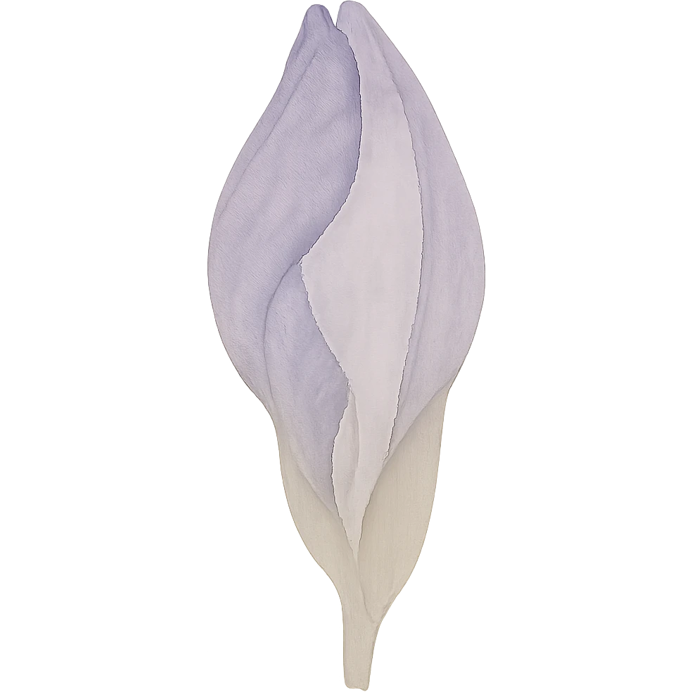 purple iris bud without stem in watercolor style emoji