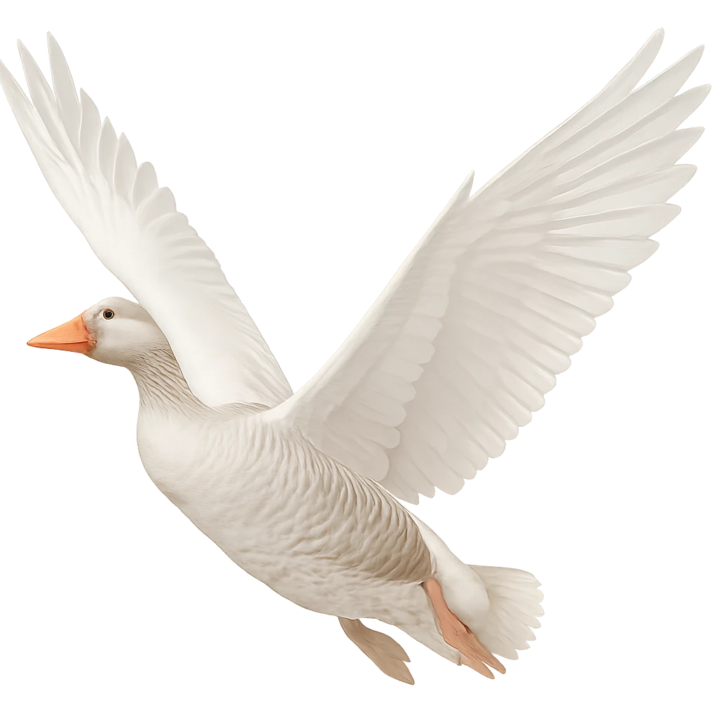Make the goose very white, keeping its wings open, with a transparent background. Maintain the original style and details of the goose while enhancing the whiteness of its feathers. emoji