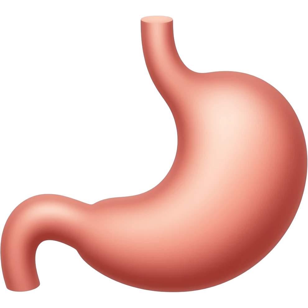 anatomia dello stomaco emoji