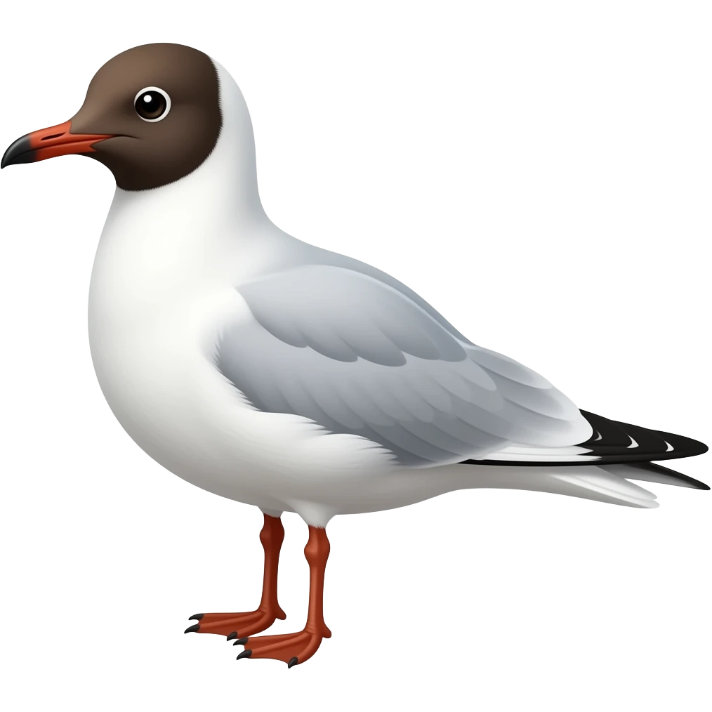 Black-headed gull emoji