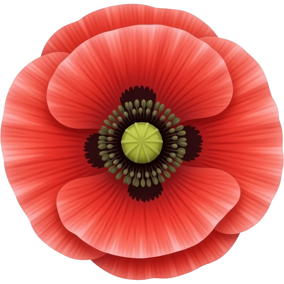 Please create me a red poppy flower emoji emoji