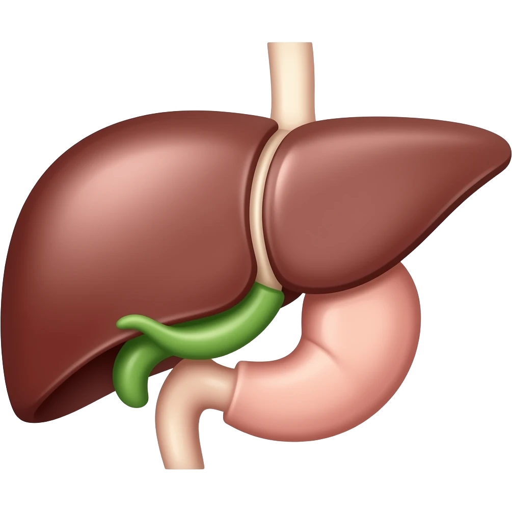 liver with green gallblader anatomy emoji