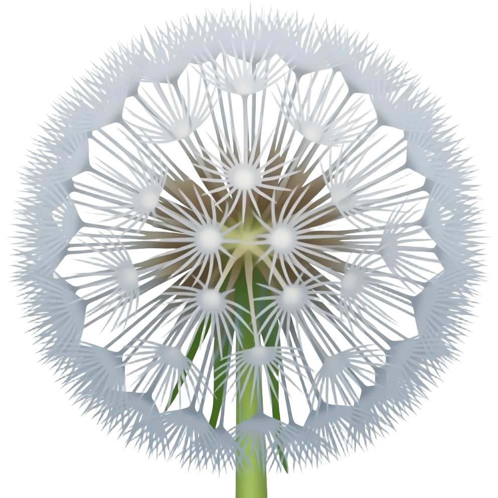 Dandellion white flower emoji