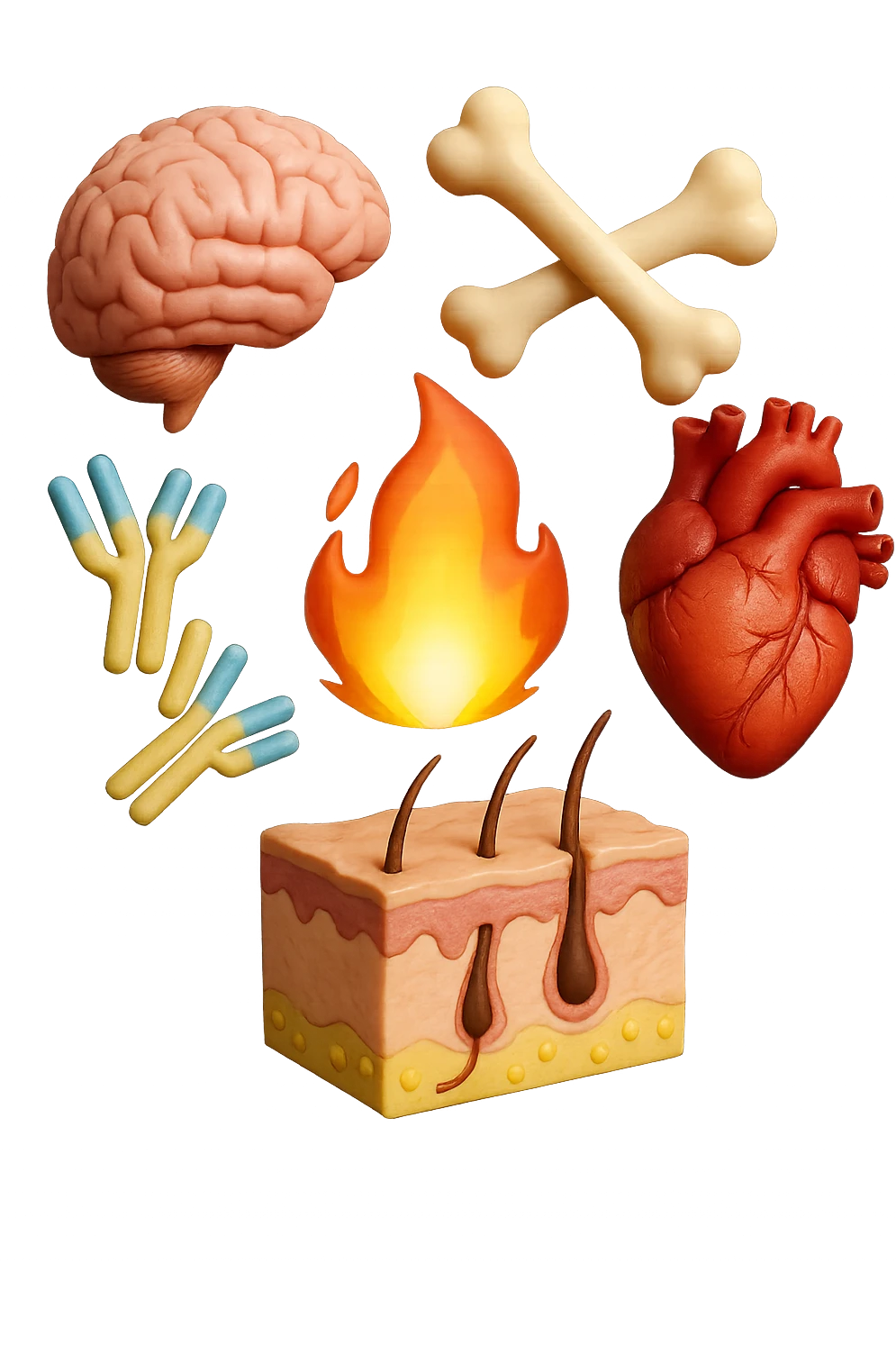 EMOJI STILE IPHONE 3D DI cervello, ossa, cuore, porzione di epidermide e cellule di anticorpi che girano in tondo, al centro di questi elementi c'è una fiamma 3d  FALLO MOLTO REALISTICO IN 3D emoji