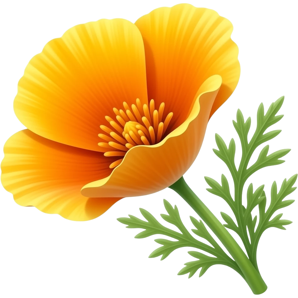 Bright orange California poppy flower with delicate petals, sunny golden center, green feathery stems and leaves, warm sunlight, vibrant and cheerful, blooming with onmmly one stem n oleaves branching on the side emoji