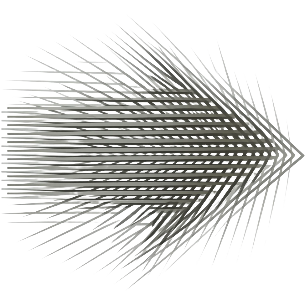 muchas lineas apuntando a el lado derecho emoji