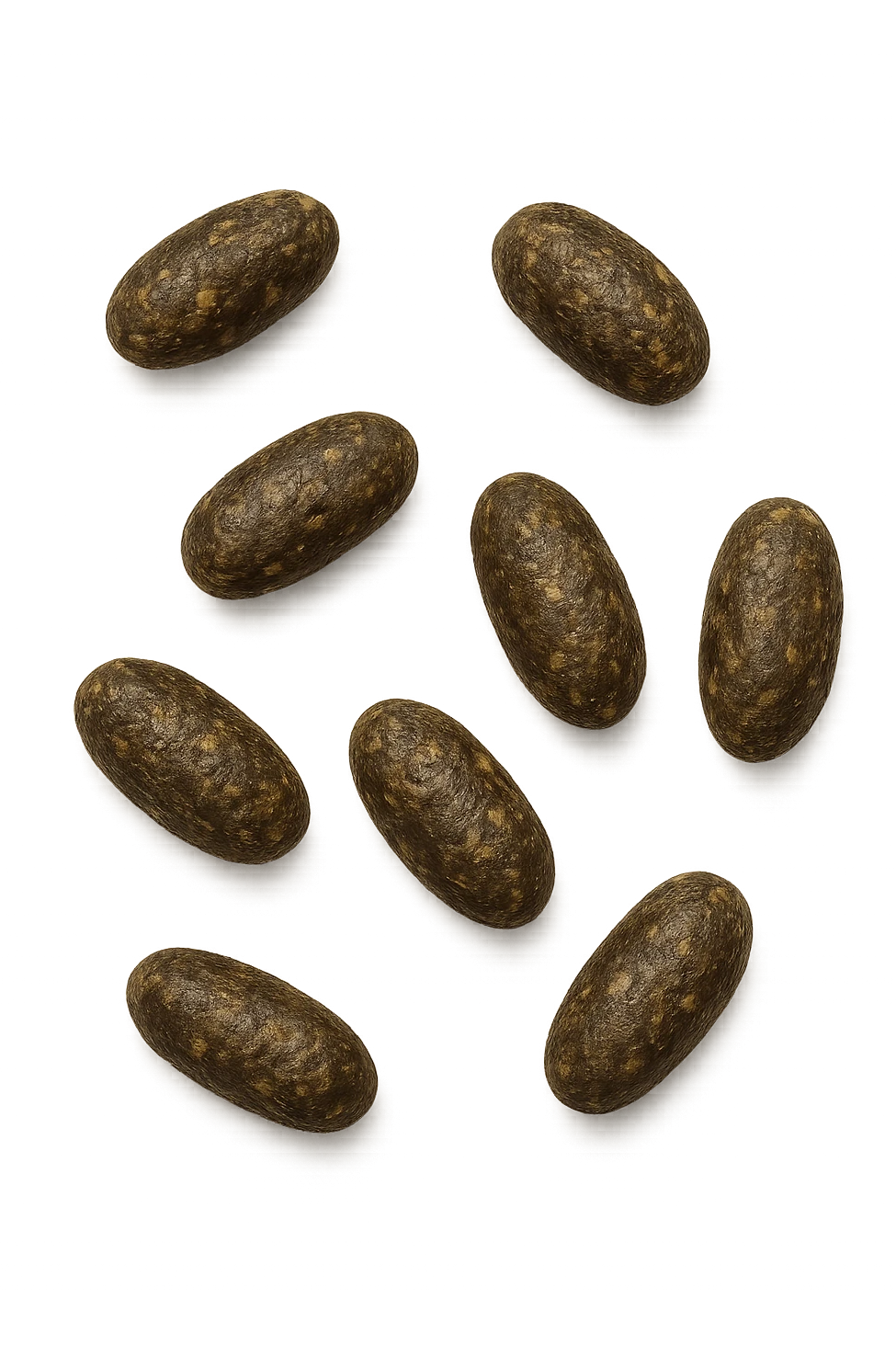 FECI DI ANIMALE A PALLINI LEGGERMENTE ALLUNGATI emoji
